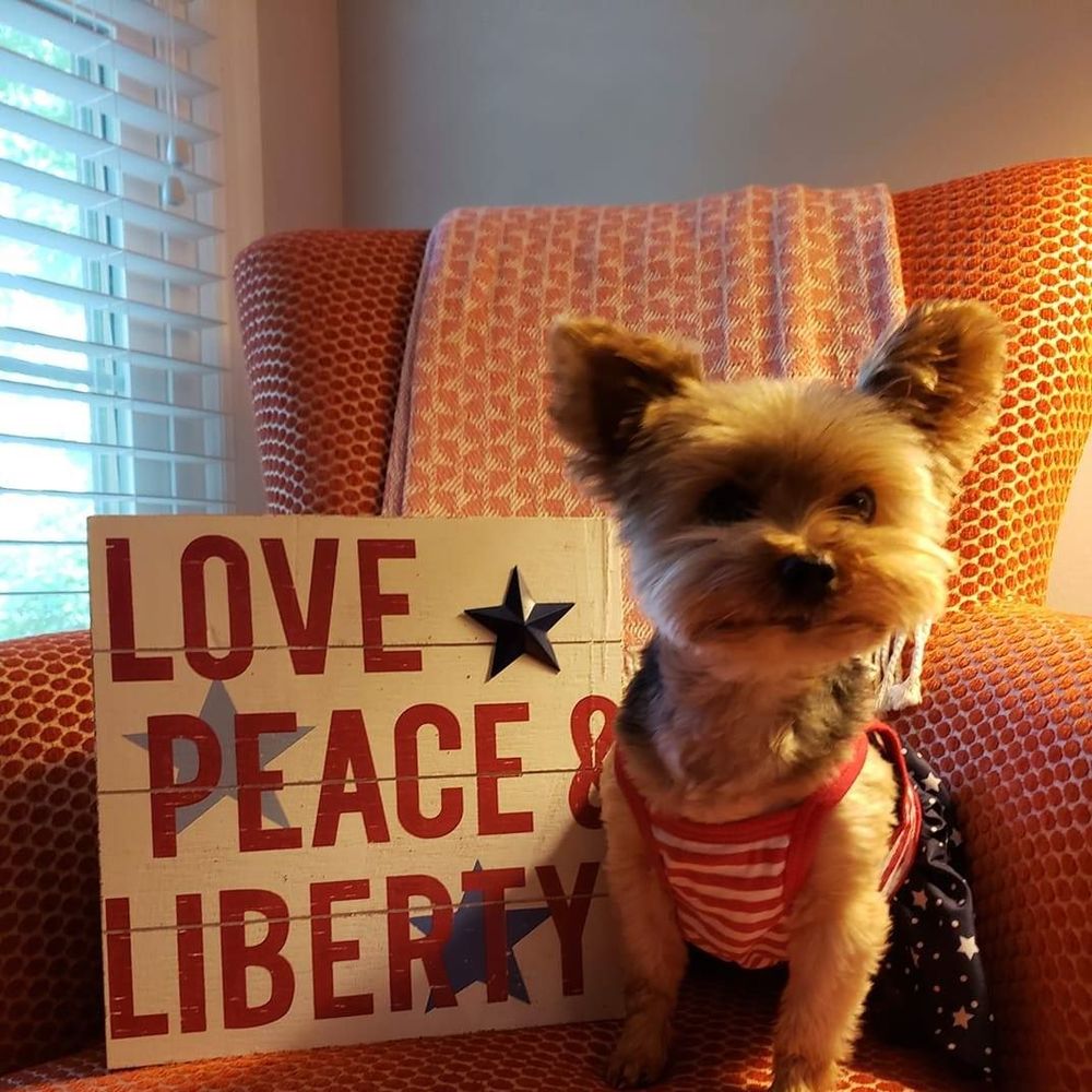 Meet your Posher, Brooke